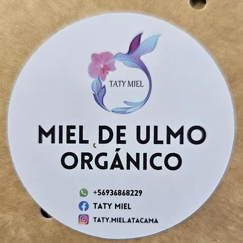 Etiqueta Miel de Ulmo Orgánico de Taty Miel